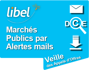 Libel