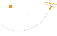 libel