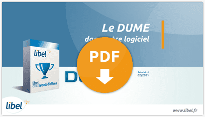 Tuto Candidater avec le DUME