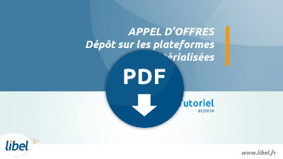 Déposer sur les plateformes dématérialisées